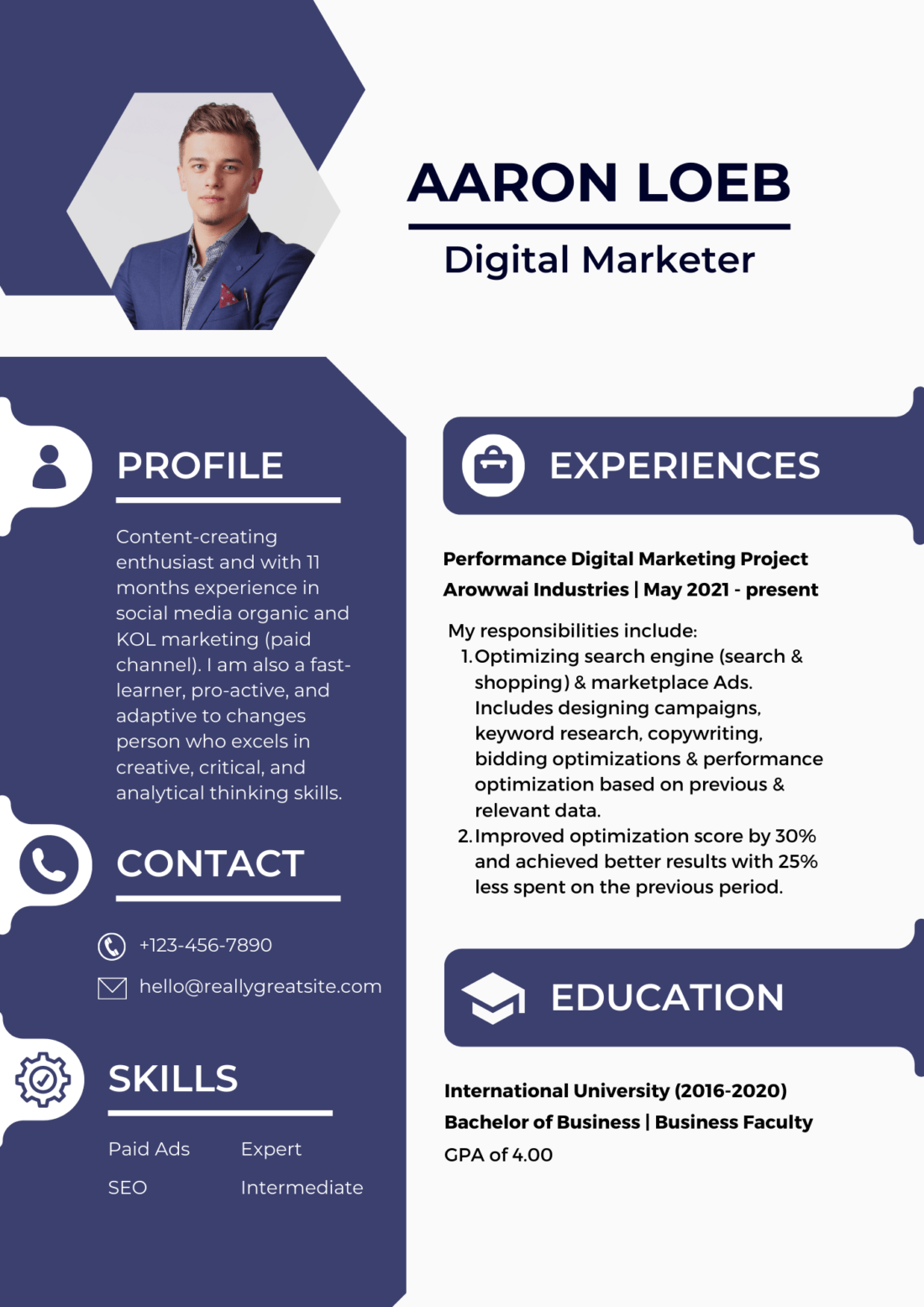 Build Digital Marketing Resume For Fresher FREE Template Samples 