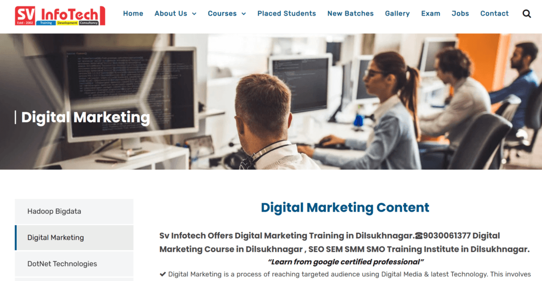 SV Infotech