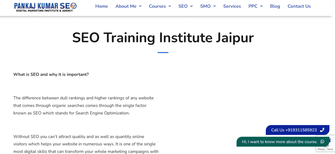 Pankaj Kumar SEO Jaipur