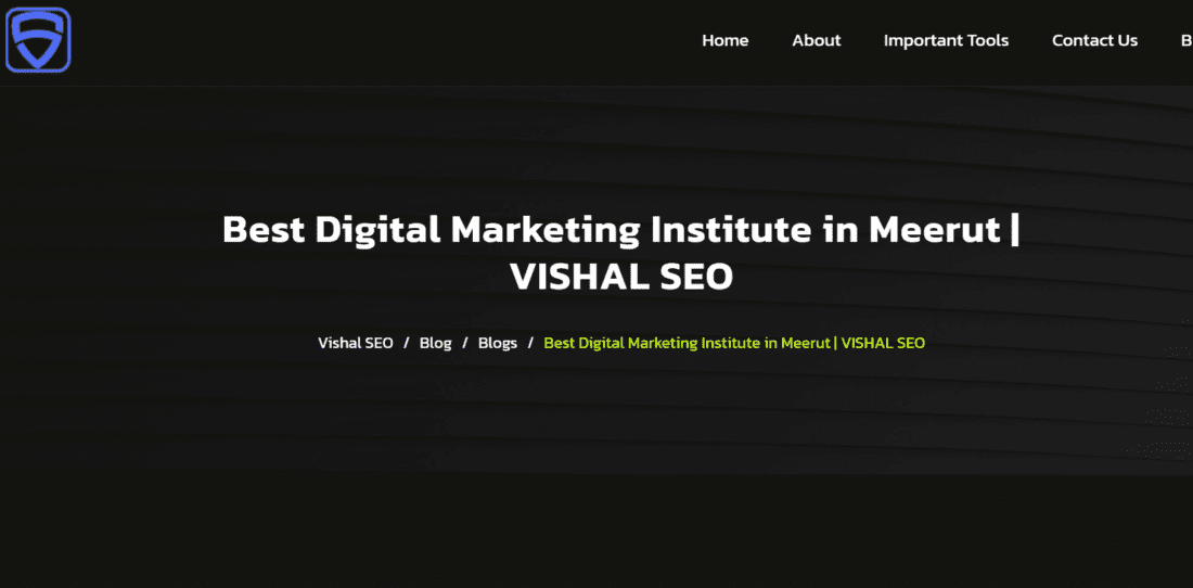 Vishal SEO Meerut